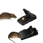 Mouse Catcher - Image 2
